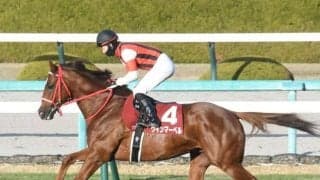 【阪神C見どころ】ベストの距離でウインマーベルが連覇に挑む