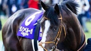 史上7組目の父仔有馬制覇へ 11回目のGIとなる実力馬が参戦