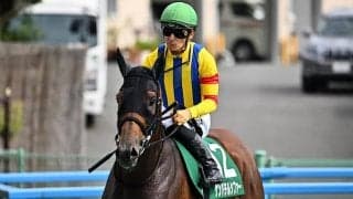 【先週のJRA抹消馬】22年プロキオンS覇者ゲンパチルシファー、今年の京都牝馬Sで16番人気3着のコムストックロードなど