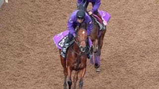 キングマン産駒リーティアコナル 好時計マークで実戦にも期待/関西馬メイクデビュー情報