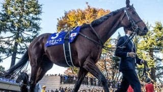 【有馬記念想定騎手】ドウデュースは武豊騎手、アーバンシックはC.ルメール騎手