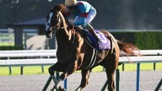 【AI予想・有馬記念】人工知能が挙げた“ドウデュースではない”本命候補3頭とは？