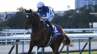 アドマイヤズームが朝日杯FS制覇 モーリス産駒初の2歳GI勝ちは母方の“名配合”が後押し