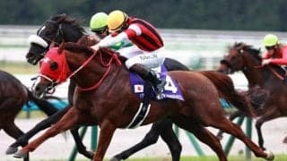 【阪神C展望】ウインマーベルの連覇を期待しつつ相手で妙味を狙う