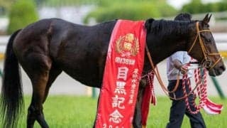 有馬記念史上初のセン馬Vなるか 重賞2勝馬ら2頭がエントリー