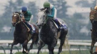 絶滅の危機に瀕する“バイアリーターク系”の末裔 来年から日本で供用される「パールシークレット」ってどんな馬？