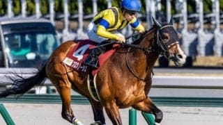 GIIで3勝の実力派がグランプリ初参戦 有馬記念で悲願のビッグタイトルなるか