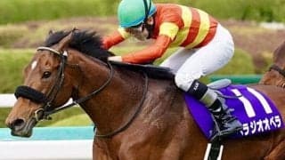 大阪杯覇者が2つ目のGIタイトルへ 有馬記念で父に新たな勲章を届けるか