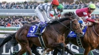 有馬記念は「前走GI組」が圧倒的 過去10年で29頭が馬券圏内