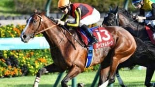 今年こそ咲くか「エアグルーヴの血」 曾孫が一族悲願の有馬記念Vへ