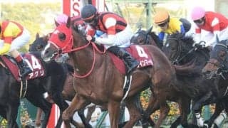 【阪神C予想オッズ】ウインマーベルが予想1番人気