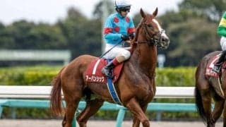 【有馬記念展望】菊花賞馬アーバンシックが好走必至だ