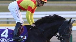 過去2年は7着、4着も「三度目の正直」で有馬記念Vなるか 昨年の天皇賞(春)覇者が再び参戦