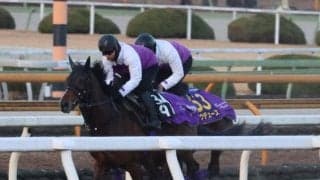 ドウデュース、有馬記念最終追い切り速報/栗東トレセンニュース