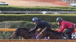 デルアヴァーなど、ホープフルS1週前追い切り速報/栗東トレセンニュース