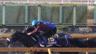 マジックサンズなど、ホープフルS1週前追い切り速報/栗東トレセンニュース