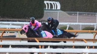 ラムジェット、東京大賞典1週前追い切り速報/栗東トレセンニュース