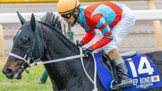 獲得賞金7億6000万超え 「GI未勝利の賞金王」が4度目の有馬記念チャレンジ