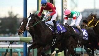 有馬記念の過去10年は堅すぎず、荒れすぎず… 狙い目は人気馬＋中穴馬の組み合わせ