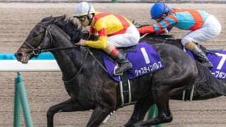 ディープインパクト産駒14年連続中央GI制覇へ ラストチャンスの有馬記念で決められるか