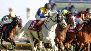 白毛馬初の有馬記念出走 8歳古豪が暮れの大一番制すか