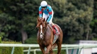 【有馬記念予想】穴党のAIも堅い決着を示唆？ レース傾向からも推奨できる一頭とは