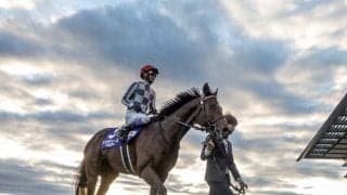 【有馬記念出走馬・騎手確定】ドウデュース＆武豊騎手、アーバンシック＆C.ルメール騎手など16頭