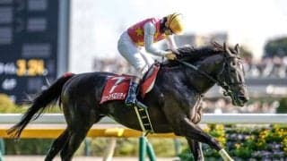 【中山大障害出走馬・騎手確定】ジューンベロシティ＆高田潤騎手、マイネルグロン＆石神深一騎手など9頭