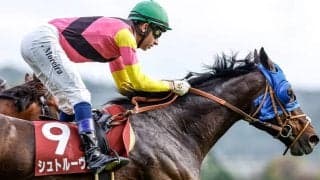 【有馬記念枠順】シュトルーヴェは6枠12番に決定 堀師「同じ条件を勝っているのは心強い」