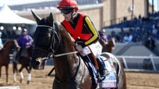 【有馬記念枠順】シャフリヤールは8枠16番に決定 藤原英昭調教師「状態がいいだけに…ごめんなさい」