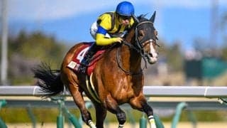 【有馬記念枠順】プログノーシスは5枠10番に決定 三浦騎手「偶数でよかった」