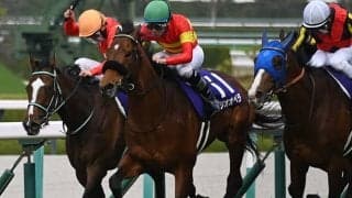 【有馬記念枠順】ベラジオオペラは3枠5番に決定 上村師「寒くなってきて調子が上がっている」