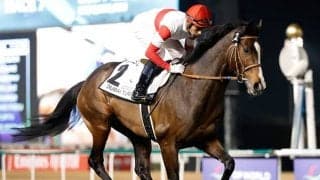 【有馬記念枠順】ダノンベルーガは7枠14番に決定 松山騎手「どこでも大丈夫」