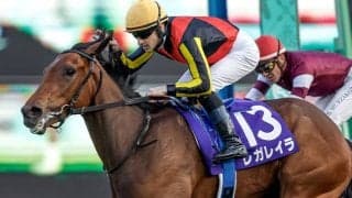 【有馬記念枠順】レガレイラは4枠8番に決定 木村師「どの枠でもラッキーナンバー」