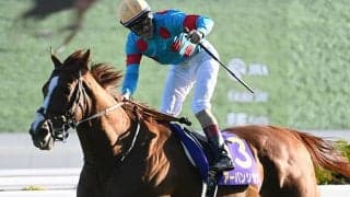 コンビでの勝率100％ ルメール騎手は菊花賞馬と有馬記念へ