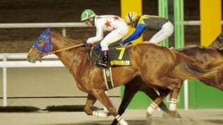 【名古屋大賞典】ミッキーファイトが重賞2勝目…ヤマニンウルスはまさかの敗戦