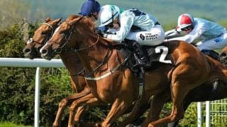 【有馬記念／全頭診断】ドウデュース超えの根拠となる「3.0.2.1」　想定6人気以下には「2.1.0.0」で“狙うしかない”