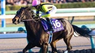 有馬記念5年連続好走中 “グランプリの牝馬”が今年も好配当を演出するか