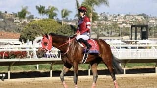 【東京大賞典】フォーエバーヤングなどJRA7頭