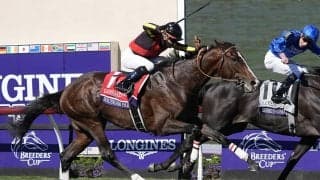 【競馬予想】有馬記念は枠順重視が鉄則！　穴党記者が波乱の使者として抜擢した伏兵２頭