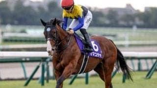 【阪神C枠順確定】ママコチャは7枠15番、ウインマーベルは6枠12番