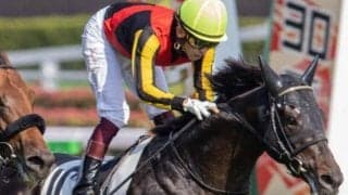 後輩ダービー馬2頭を下してグランプリ制すか シャフリヤールが2年9カ月ぶりのV目指す