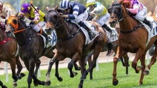 【有馬記念／データ攻略】「85 or 0％」の伏兵2頭　“有無を言わさず”買いたい「4.1.1.1」該当馬は