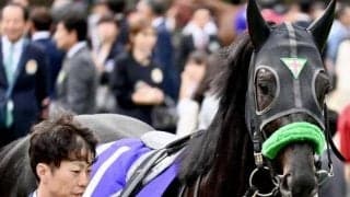 有馬記念の馬券圏内率は約7割!? 過去10年のローテから導く“堅軸候補”とは