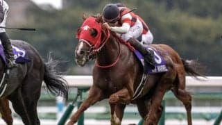 【阪神C予想】前走で人気薄だった馬は距離に注意！ 京都外回り芝1400mの適性に不安を感じる人気馬とは