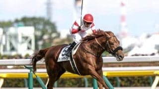 2位が有馬記念の“狙い目” 近10年のファン投票上位馬の成績を探ると