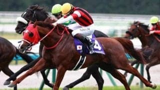 京都芝は先行有利 阪神Cはウインマーベルに期待