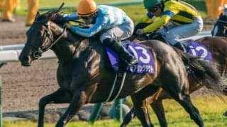 全姉は三冠牝馬 姉の主戦とともにデビュー勝ちを狙う