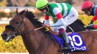 21年有馬記念などGI・3勝エフフォーリアの全妹 横山武史騎手を背に初陣