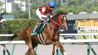 【今日の注目ポイント】中山大障害と京都で阪神C